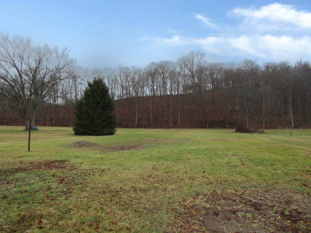 261 Mccarrell Rd Rd, Mt. Pleasant Twp - WAS, Kentucky image 3