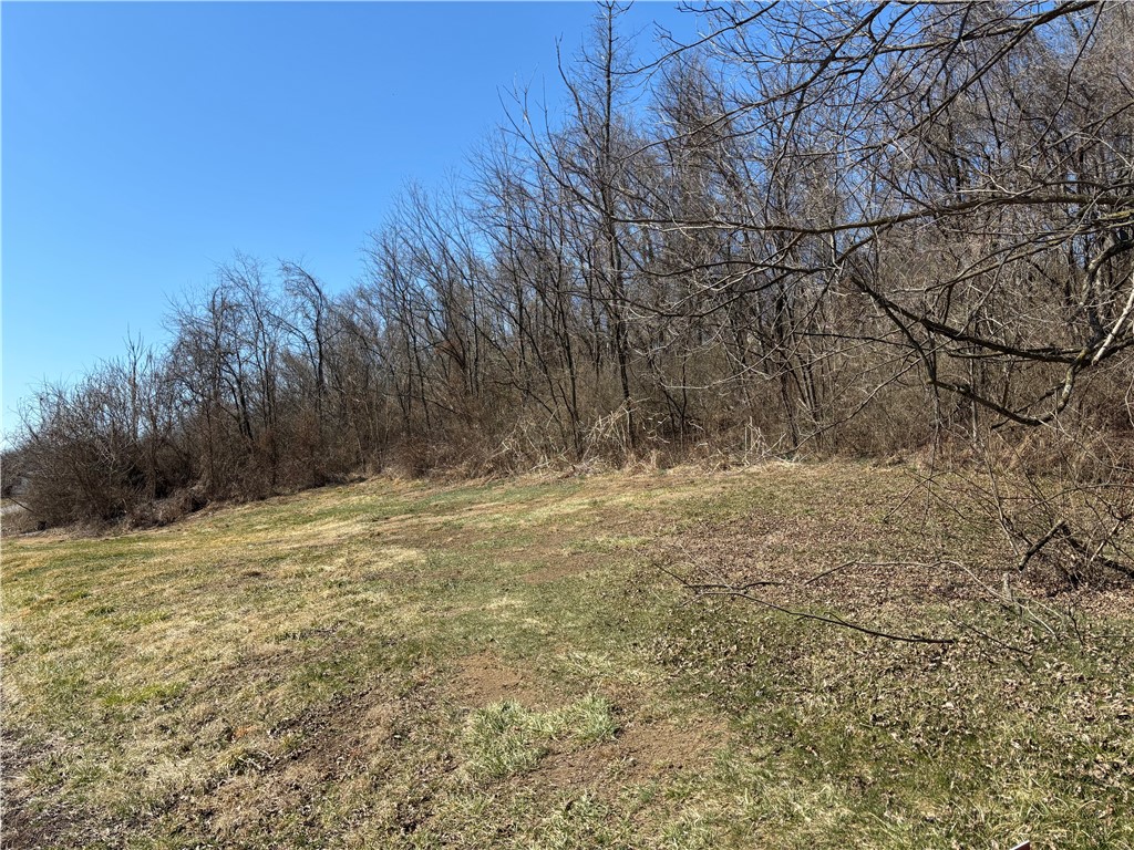 W Harvey Ave, Masontown, Pennsylvania image 4