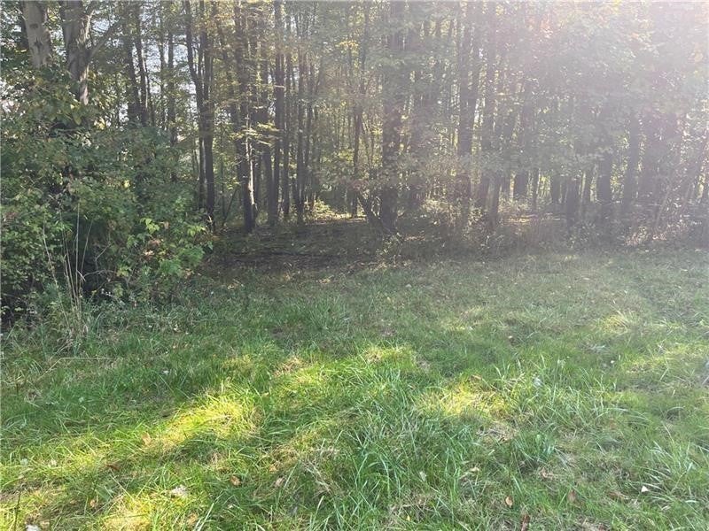 Lot #3 Old Plank Rd