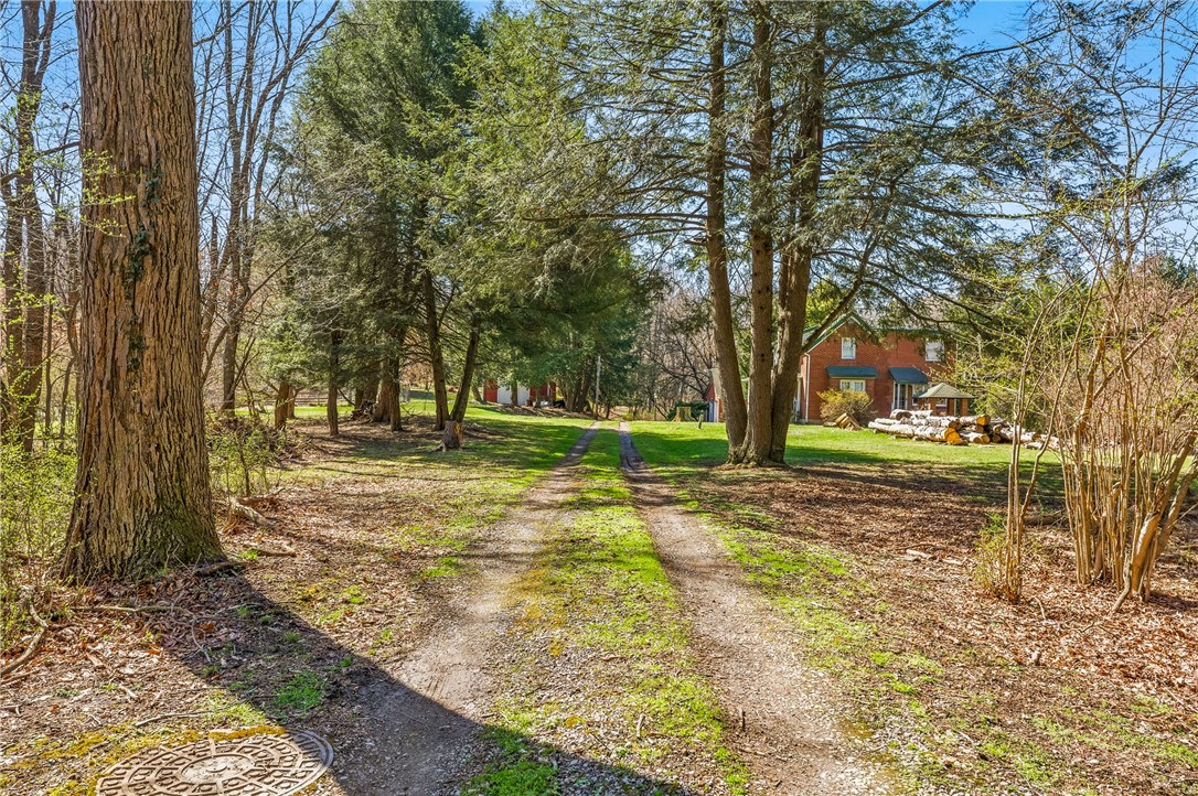 143 Gracie Lane