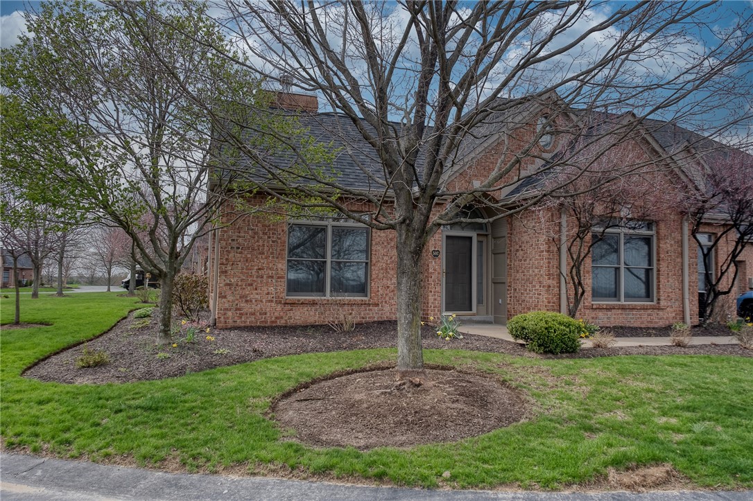 502 Applehill