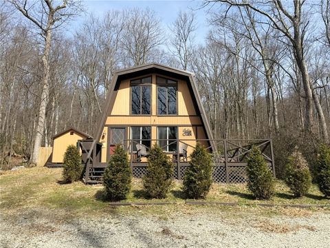 Photo of 340 W Laurel Ln, Rockwood, PA 15557 (MLS # 1743887)