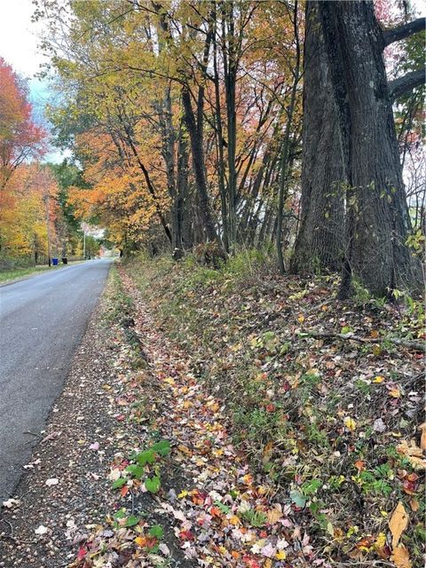 0 Browntown Rd Mercer Twp PA 16038