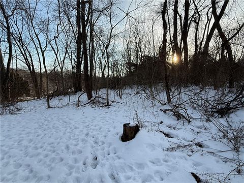 Vacant Land For Sale - LOT 1 Millers Run Rd<br/> Washington County, Cecil, PA 15321