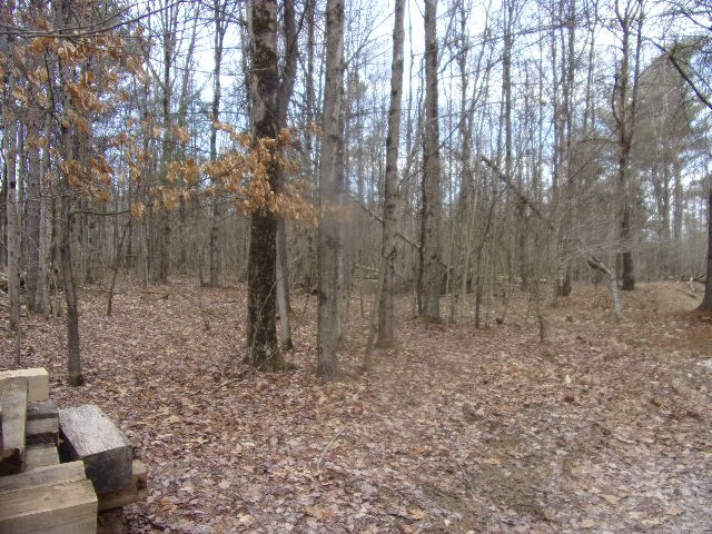 50 & 250 Laurel Lane, Leeper, Pennsylvania image 39