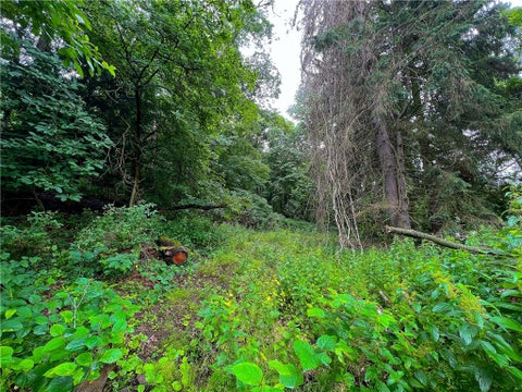 Vacant Land For Sale - 811 Meridian Rd Rd<br/> Butler County, Penn Twp, PA 16053