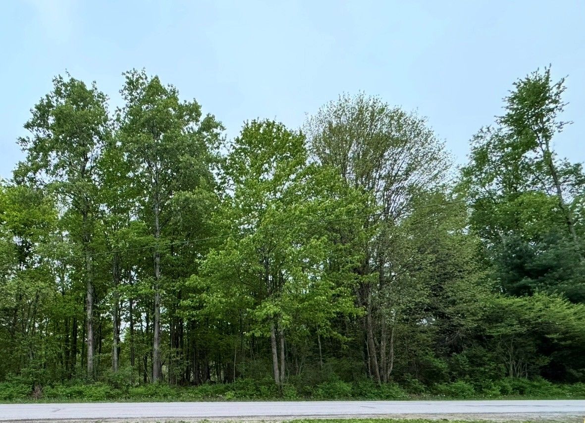 Lot B Lake Road and Elmwood Street