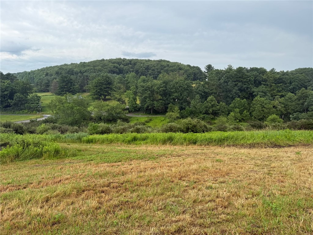 21.63 Acres along Route 536 & Harper Road