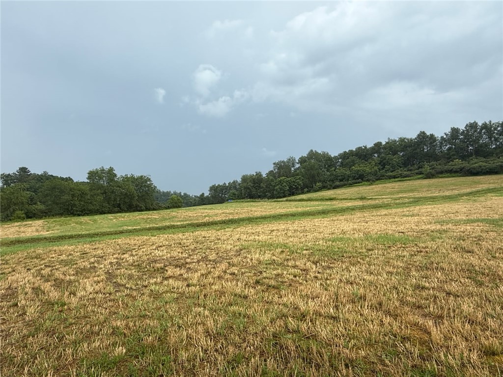 21.63 Acres along Route 536 & Harper Road