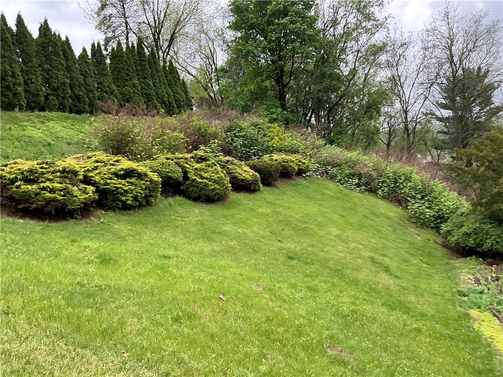 125 Webster St St, Rochester Twp, Pennsylvania image 5
