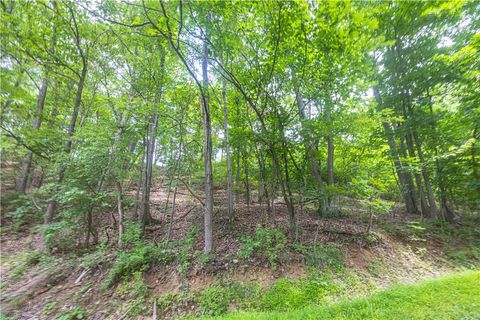 Vacant Land For Sale - Alpine Ln<br/> Fayette County, Franklin, PA 15480