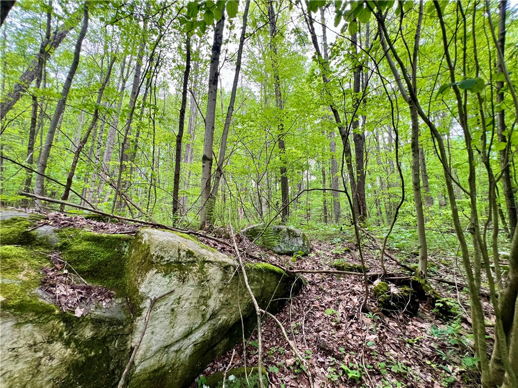 192 Hawkins Hollow Road Rd, Connellsville, Pennsylvania image 6