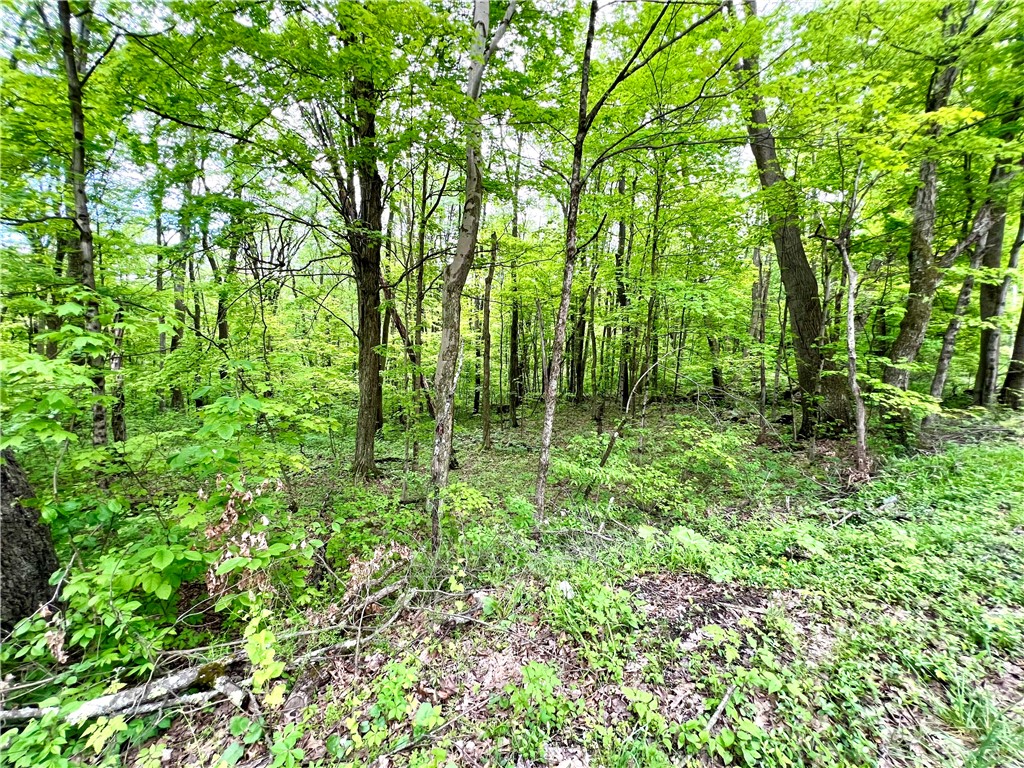 192 Hawkins Hollow Road Rd, Connellsville, Pennsylvania image 8