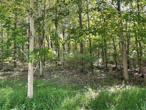1237 Mountainview Road Bullskin Twp PA 15610