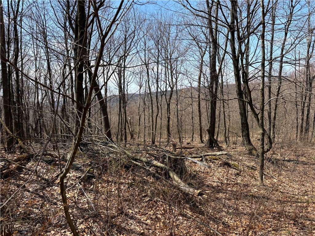 Southampton Twp, Pennsylvania 15545, United States, ,Residential,Active,61263