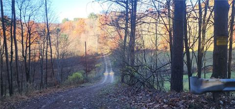 Vacant Land For Sale - Reed Rd<br/> Mayport, PA 16240