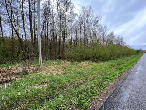 Photo for 50 Vacant Acres, Irish Road