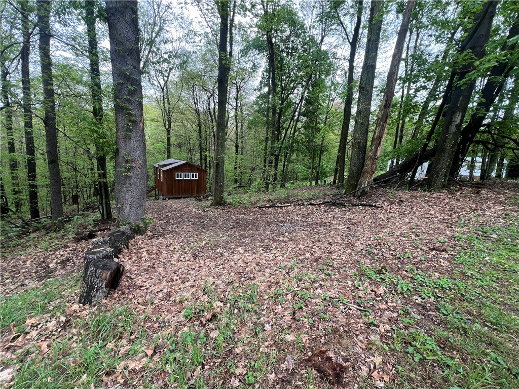 0 Squirrel Road