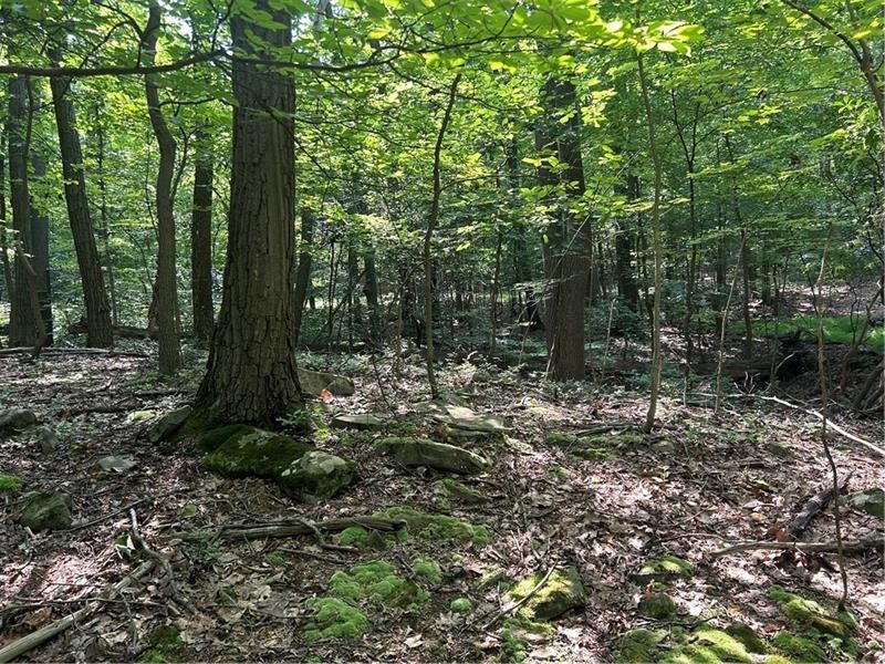 LOT 934 Ski Slope RD
