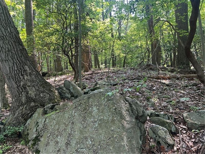 LOT 934 Ski Slope RD