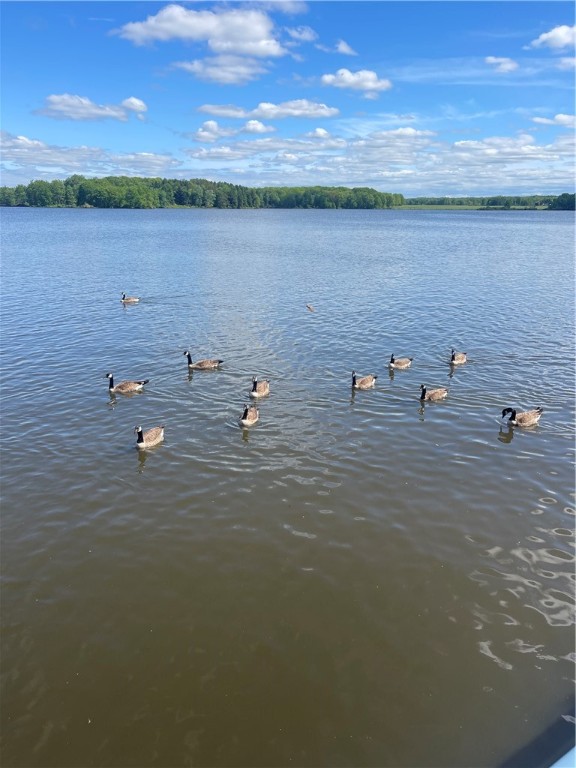 Linesville Boro, Pennsylvania 16424, United States, 4 Bedrooms Bedrooms, ,2 BathroomsBathrooms,Residential,Active,133230