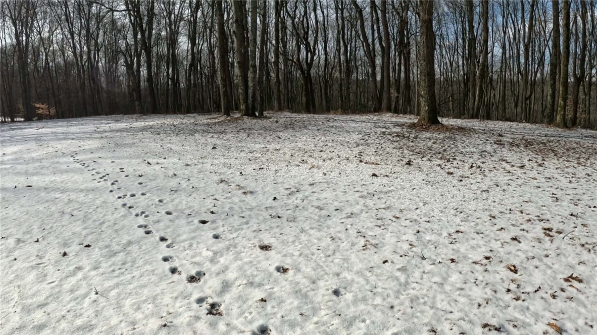 000 N Of Lonesome Hollow Ln