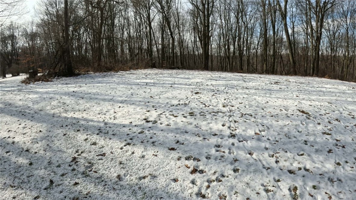 000 N Of Lonesome Hollow Ln