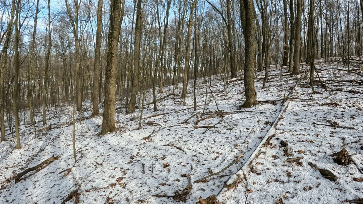 000 N Of Lonesome Hollow Ln