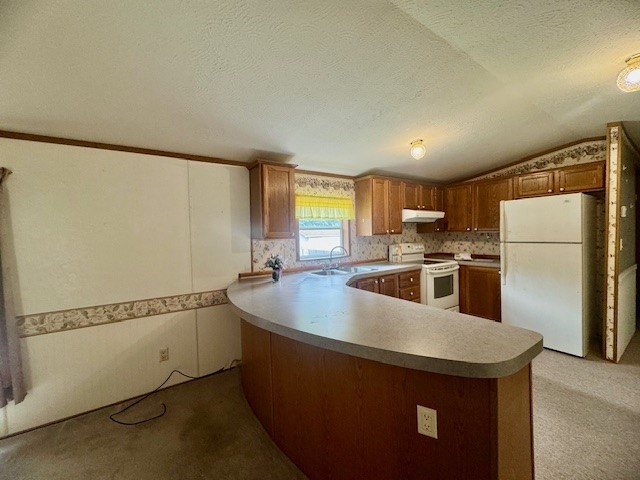 106 Jodi Ln