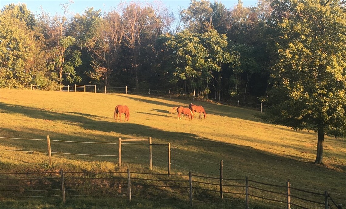 Hanover Twp - Bea, Pennsylvania 15043, United States, ,Commercial,Active,13882