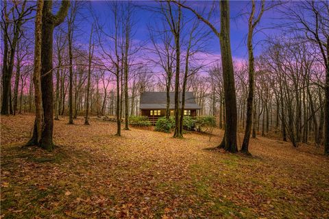 Photo of 2744 Indian Head Rd, Champion, PA 15622 (MLS # 1731815)
