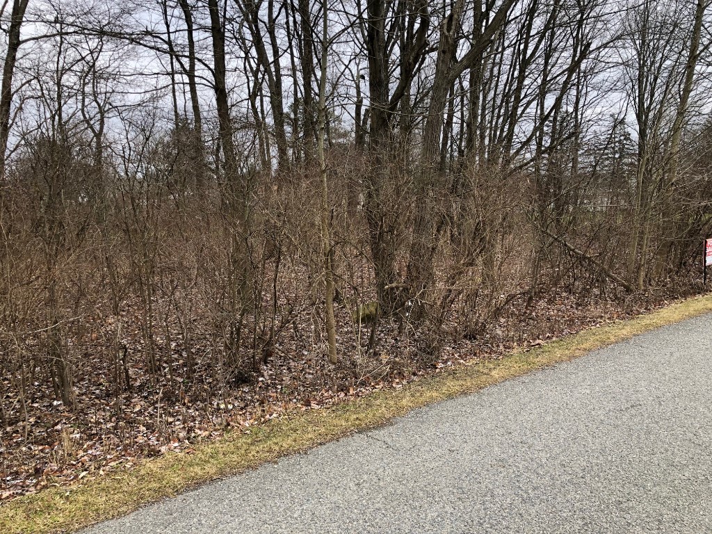 Lot 32 Parallel St, Pleasantville, Pennsylvania image 6