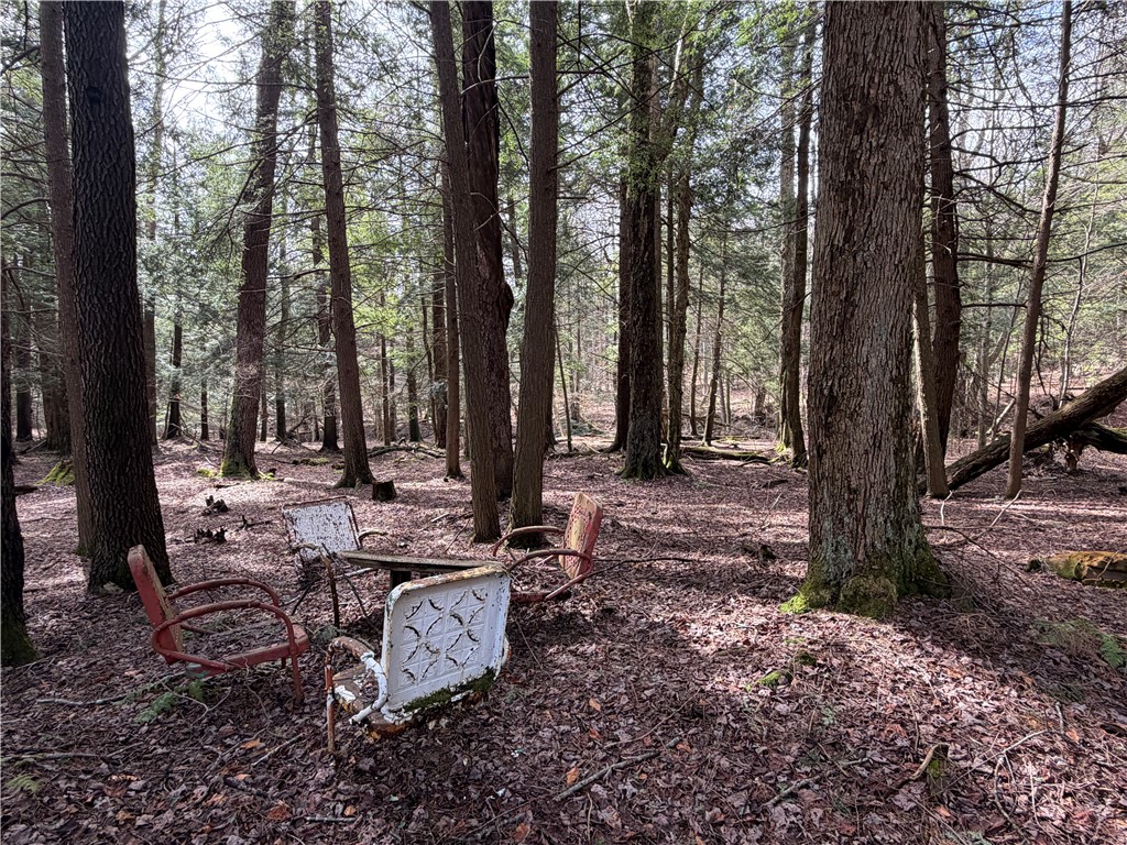 8202 Clear Shade Drive