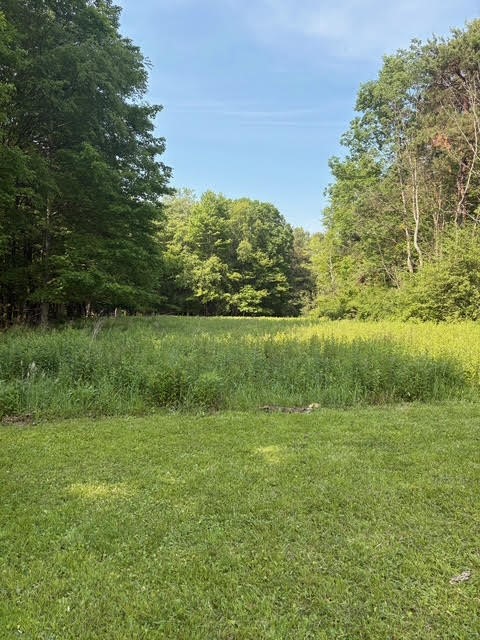 Windber, Pennsylvania 15963, United States, ,Residential,Pending,150529