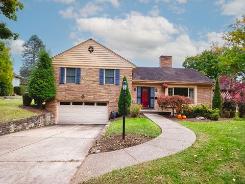 1787 THEODAN Drive Mt Lebanon PA 15216