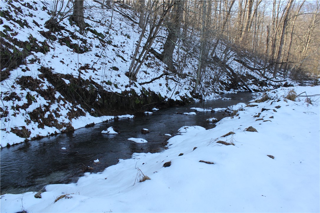 221 Two Mile Run Road