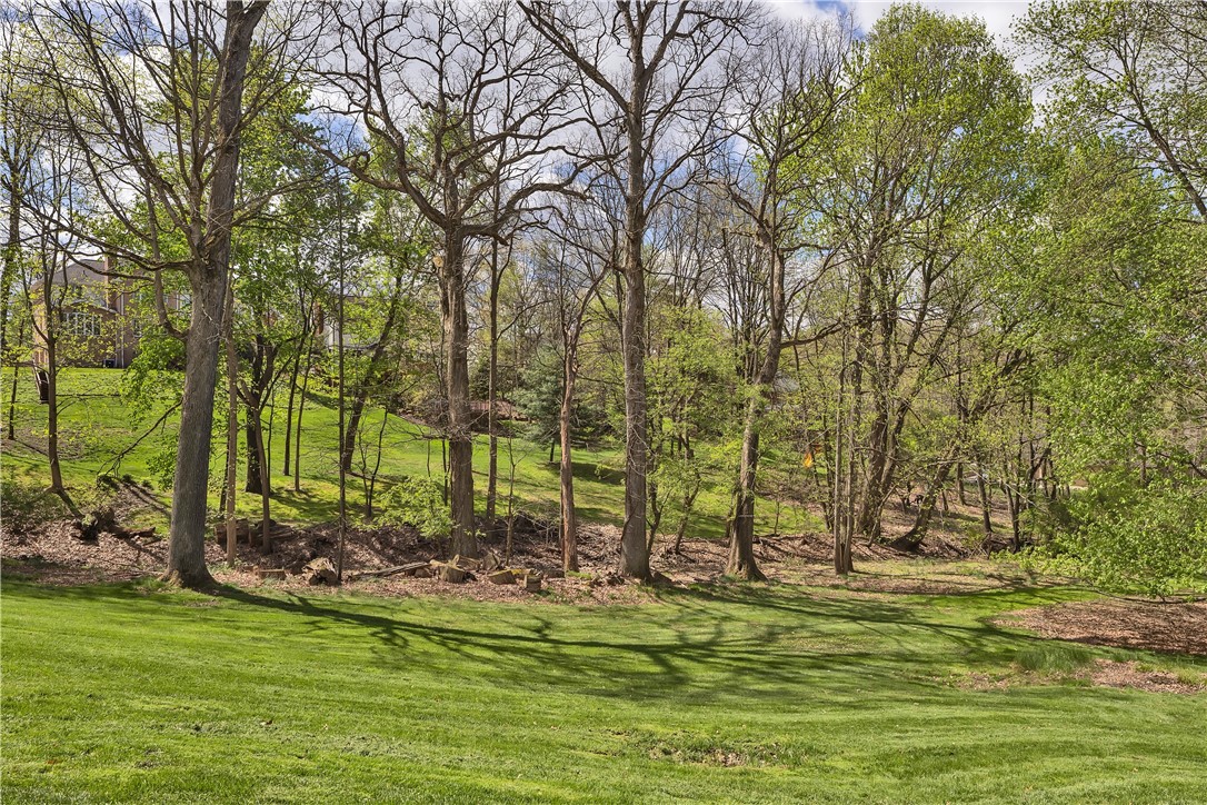 9007 Hampshire Ct