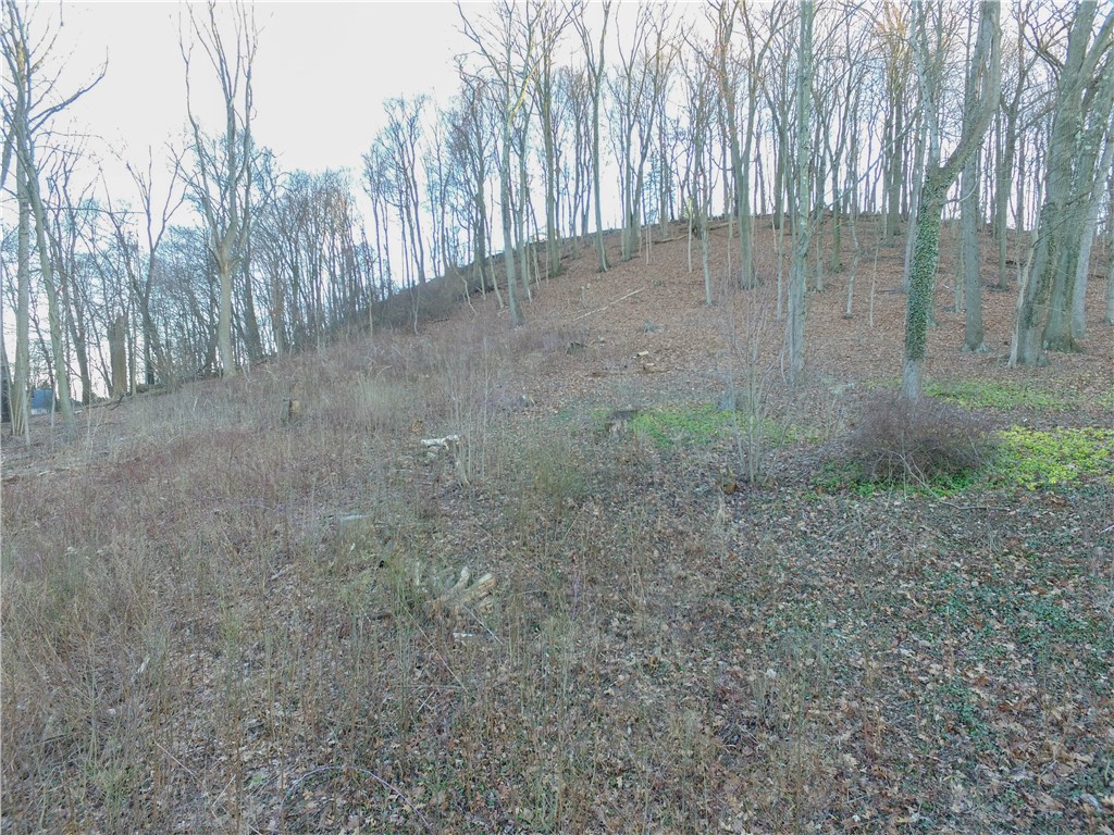 Wayne Avenue, Ellwood City - LAW, Pennsylvania image 5
