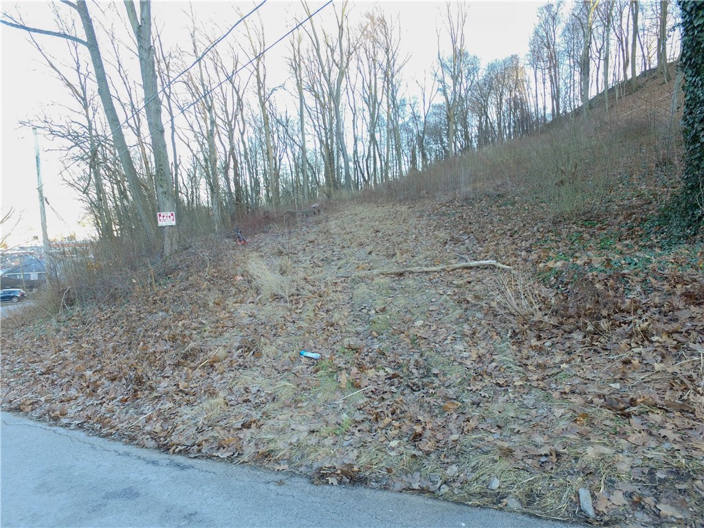 Wayne Avenue, Ellwood City - LAW, Pennsylvania image 4