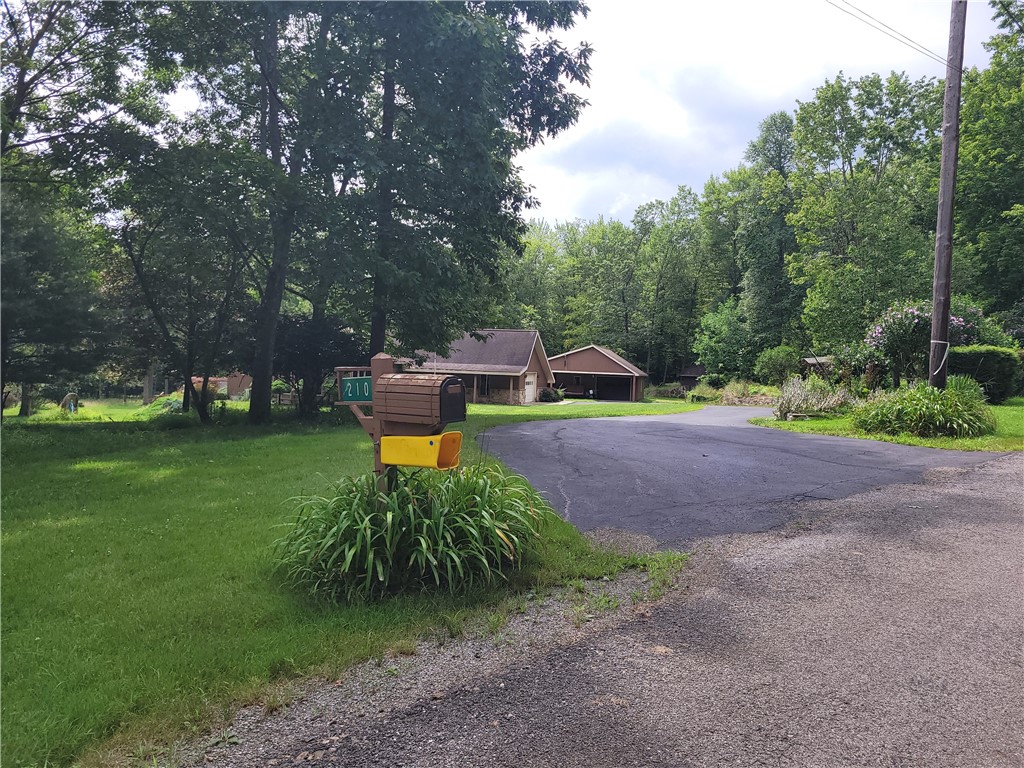 210 Willyoung Road