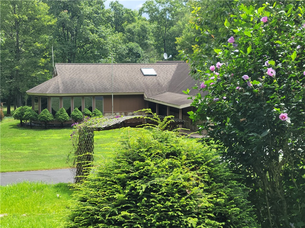 210 Willyoung Road