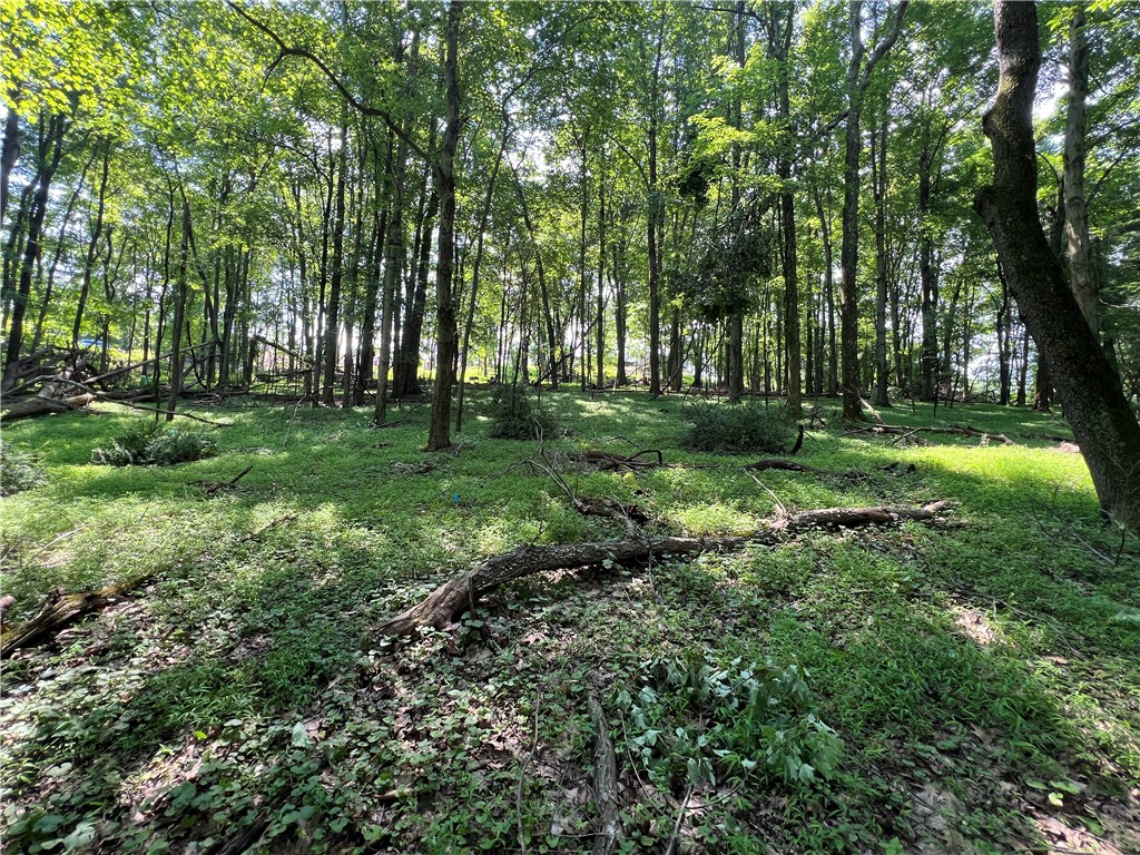 3672 Windover Road, Murrysville, Pennsylvania image 15