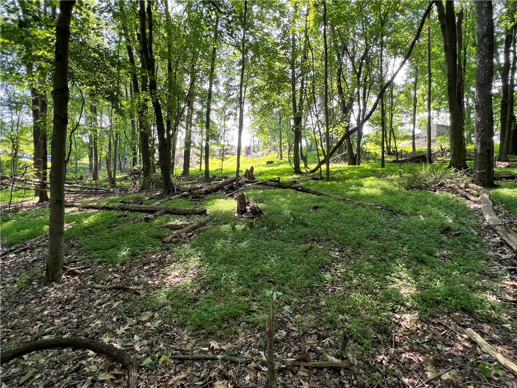 3672 Windover Road, Murrysville, Pennsylvania image 1