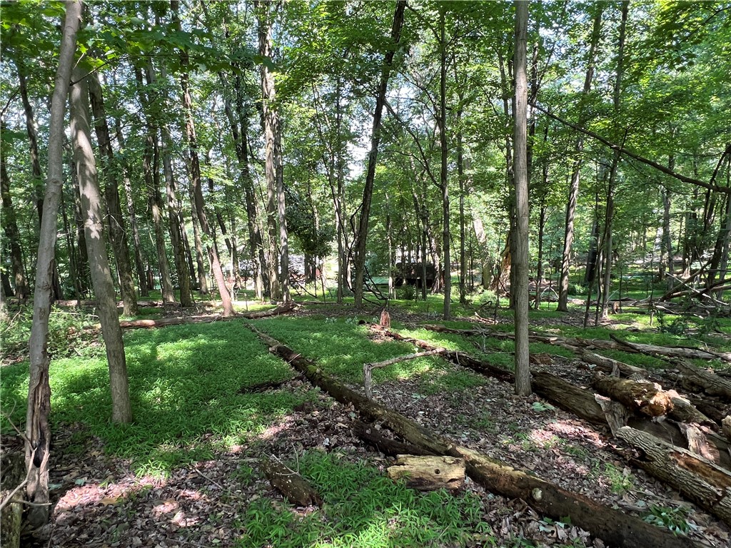 3672 Windover Road, Murrysville, Pennsylvania image 14