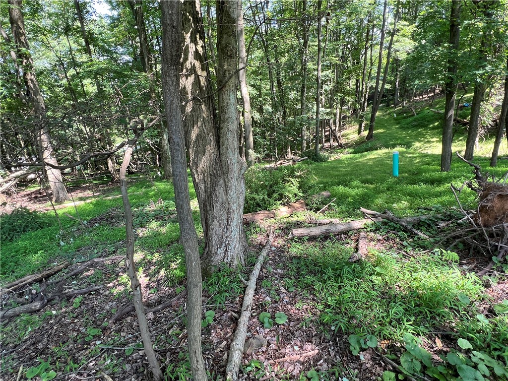 3672 Windover Road, Murrysville, Pennsylvania image 10