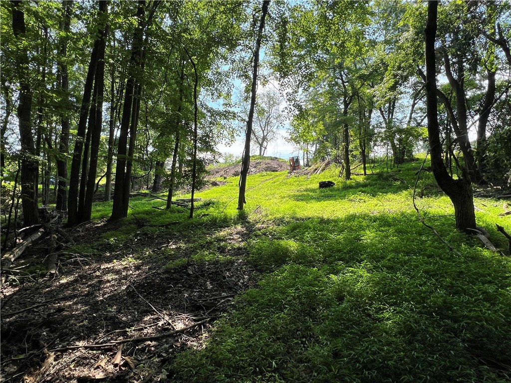 3672 Windover Road, Murrysville, Pennsylvania image 13