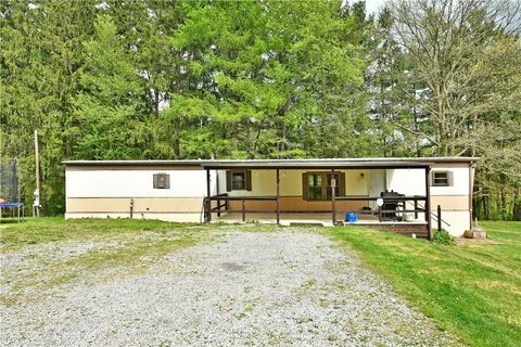 127 Anderson St Raccoon Twp PA 15001