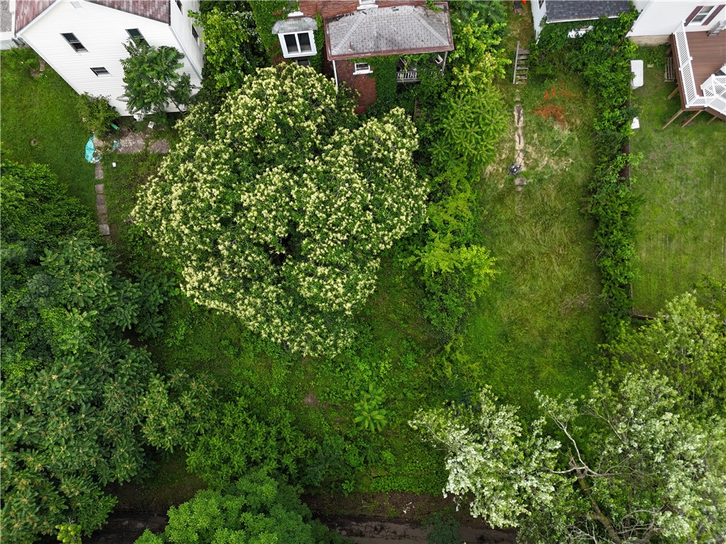 542 Franklin St