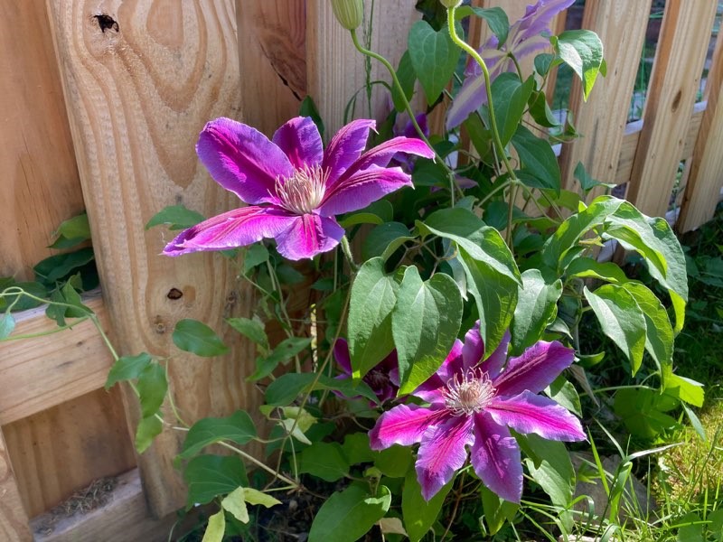 Somerset Boro, Pennsylvania 15501, United States, 4 Bedrooms Bedrooms, ,2 BathroomsBathrooms,Residential,Active,161333