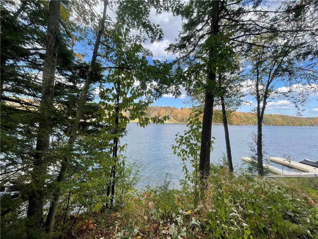 Indian Lake Boro, Pennsylvania 15926, United States, 3 Bedrooms Bedrooms, ,1 BathroomBathrooms,Residential,Active,221983